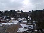 Borovina