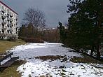 Borovina