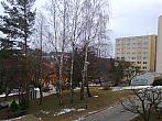 Borovina