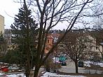 Borovina