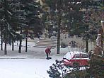 Borovina