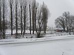 Brno Bosonohy