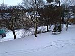 Borovina