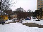 Borovina