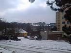 Borovina