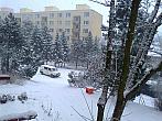 Borovina