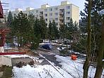 Borovina