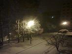 Borovina