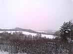 Borovina