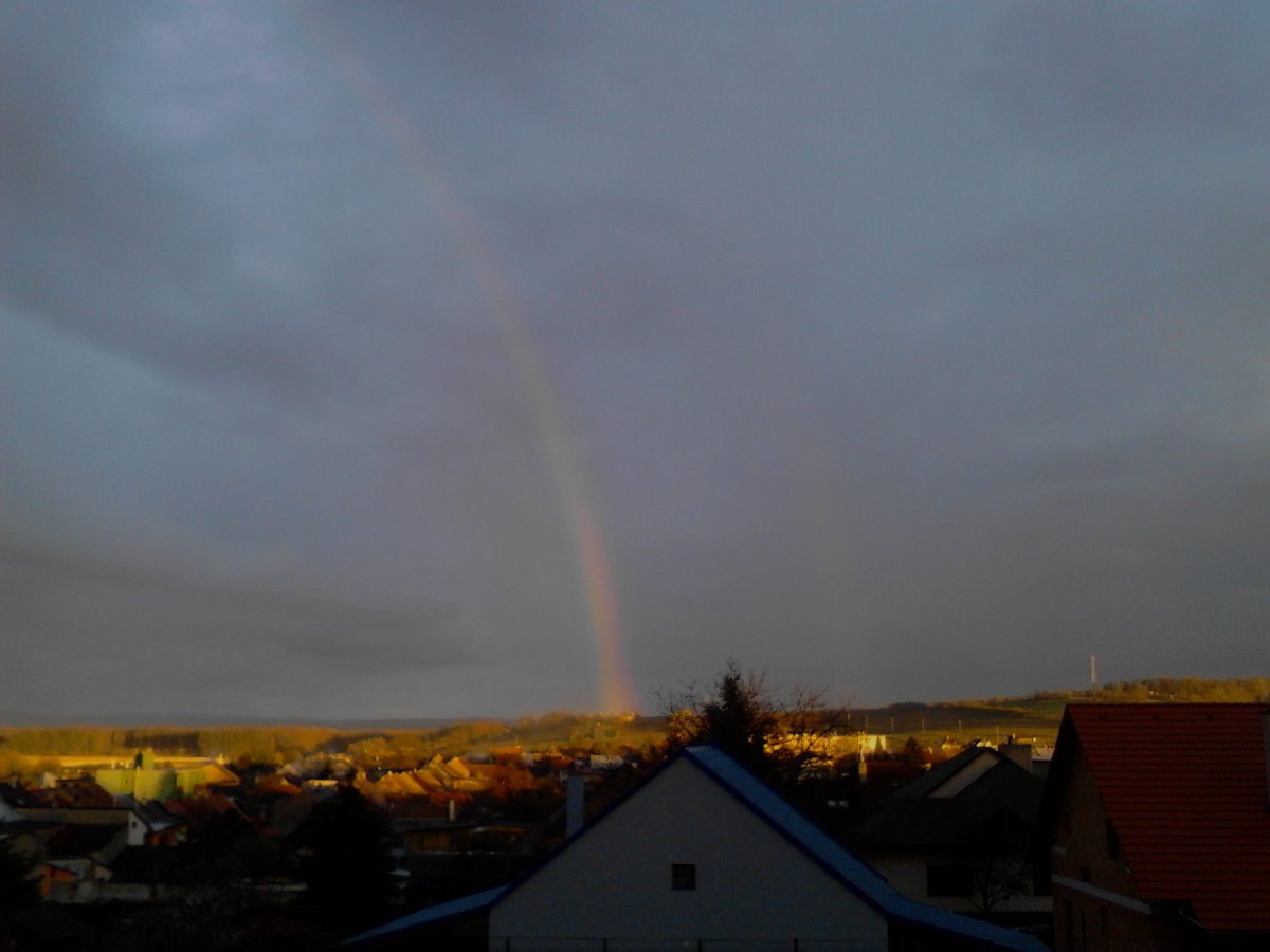 Kvasice