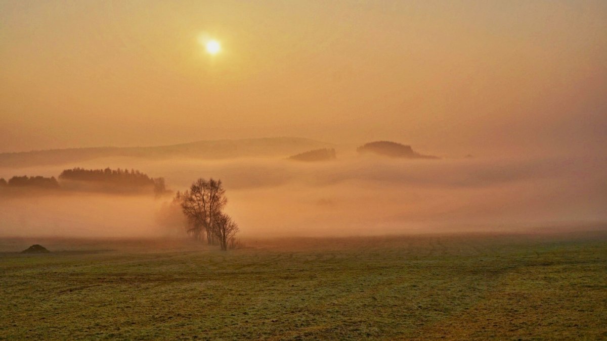 Svratka