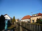 Třibřichy
