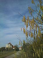Jičín