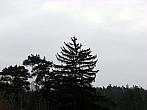 Blansko