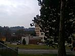 Borovina