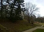 Borovina