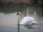 Fotografie