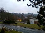 Borovina