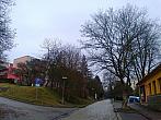 Borovina
