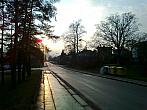 Borovina