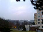 Borovina