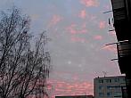 Borovina