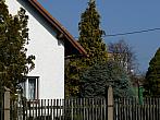 Třibřichy