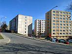 Borovina