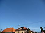 Třibřichy