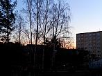 Borovina