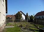 Třibřichy