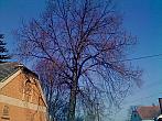 Hostákov