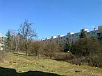 Borovina