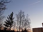 Borovina