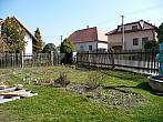 Třibřichy
