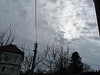 Třibřichy