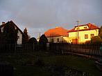 Třibřichy
