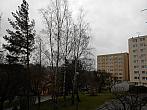 Borovina
