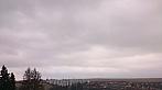 Tachov