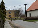 Třibřichy