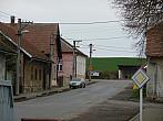 Třibřichy