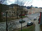 Borovina