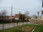 Třibřichy