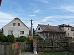Třibřichy