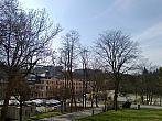 Borovina