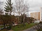 Borovina