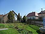 Třibřichy