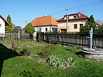 Třibřichy