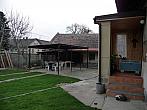 Třibřichy