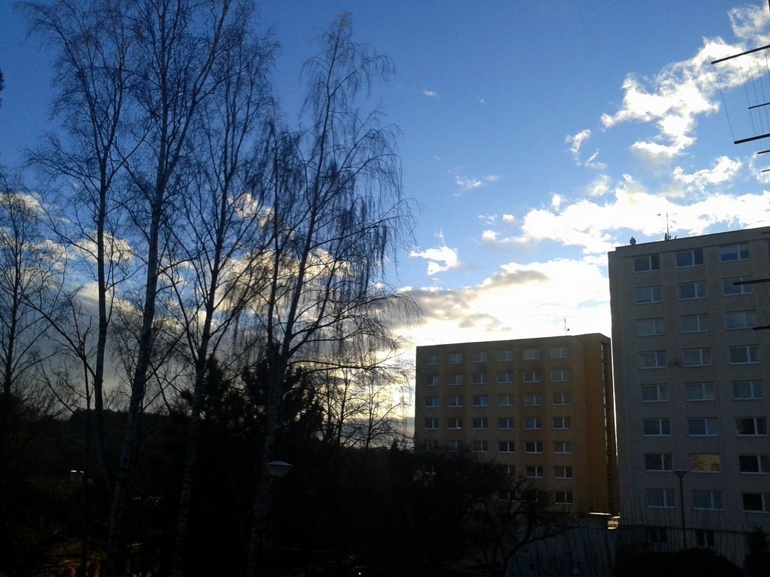 Borovina